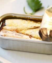 Canned Tunafish, Canned Fish